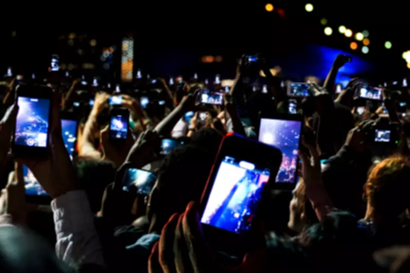 Security Expert Warns Against Phone Theft at Concerts