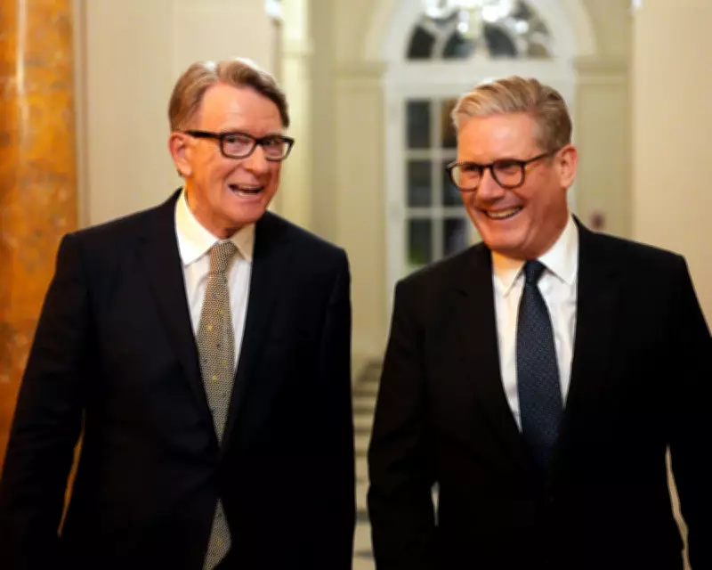 Security Vetting for Mandelson's US Ambassador Role Criticized as Insufficient