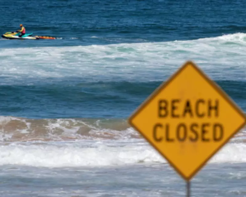 Shark Attack Safety in Australia: Best Times and Locations for Swimming