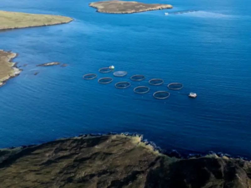 Shetland Salmon Farm Approval Sparks Environmental and Community Clash