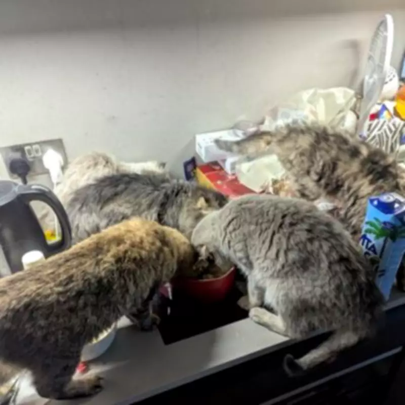 Shoreditch Woman Banned from Keeping Animals After 23 Pets Found in Squalid Flat