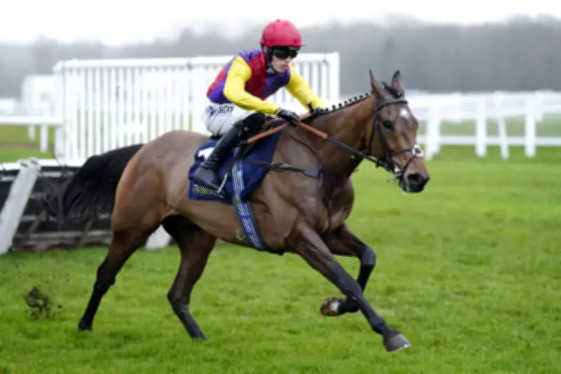 Sober Glory Emerges as Supreme Novices' Hurdle Contender After Newbury Romp