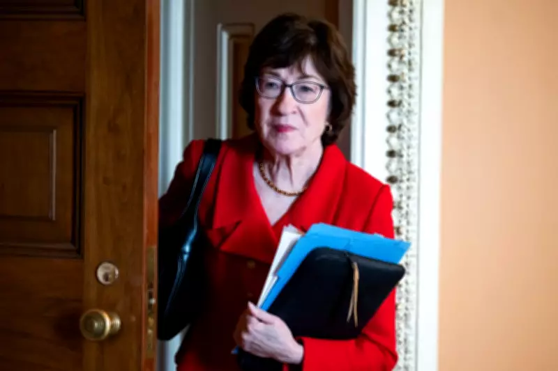Susan Collins Launches Re-election Bid for Maine Senate Seat