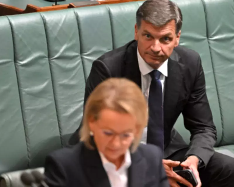 Sussan Ley: A Scapegoat for Deeper Liberal Party Issues