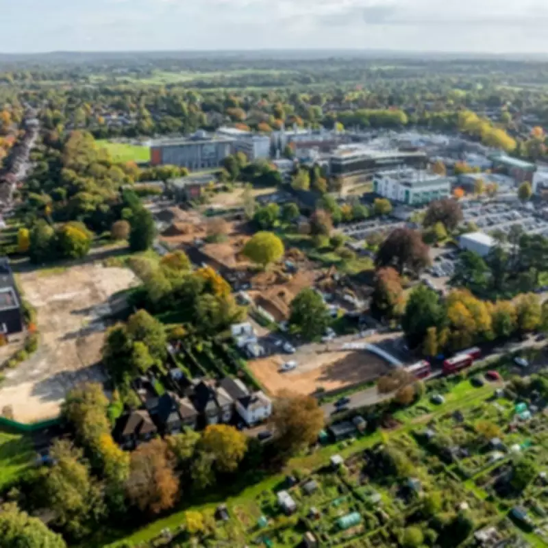 Sutton Approves £1bn London Cancer Hub Expansion Amid Traffic and Allotment Concerns