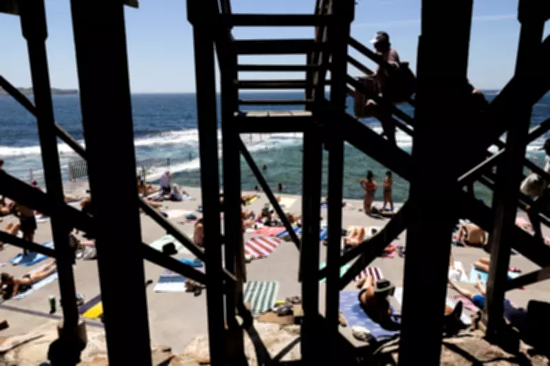 Sydney Implements Shark Nets and Ocean Pools After Recent Attacks