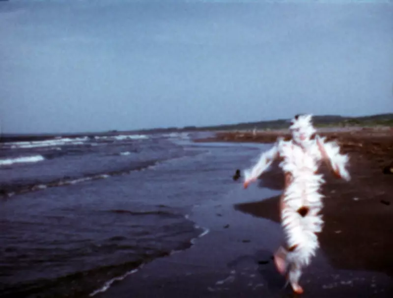 Tate Modern to Host Largest UK Exhibition of Ana Mendieta's Work in 2026