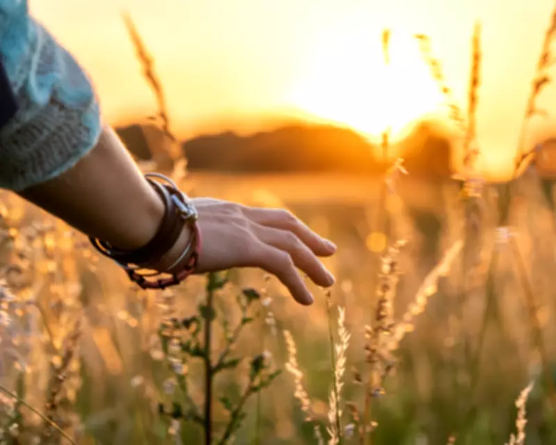 Teaching Children to Rest in a Productivity-Driven World