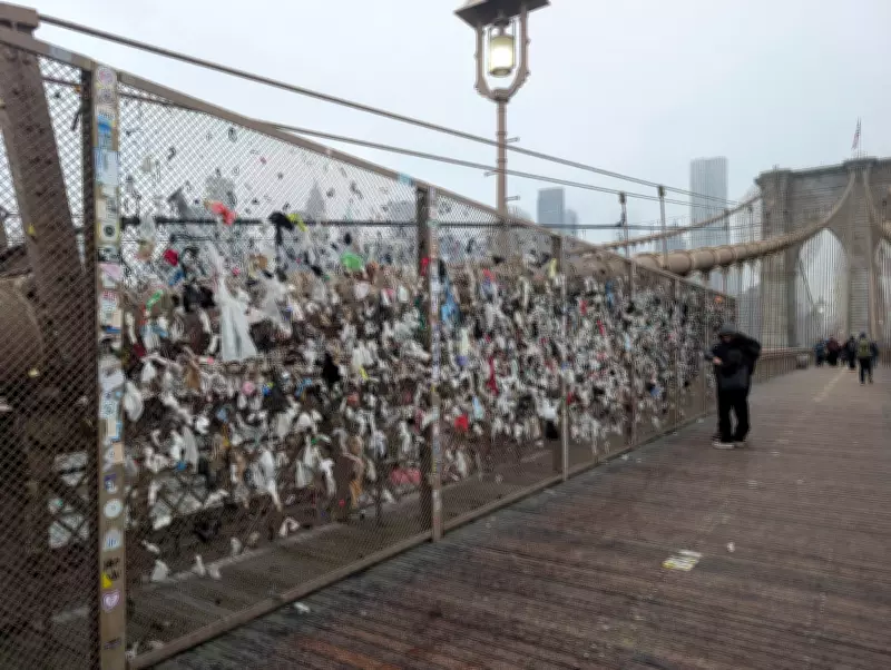 Tech Worker's 16-Hour Crusade to Clean Condoms and Socks Off Brooklyn Bridge