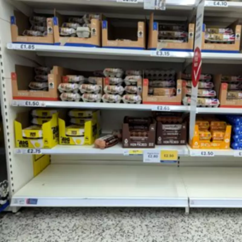 Tesco Recalls Grape & Berry Medley Over Salmonella Contamination Risk