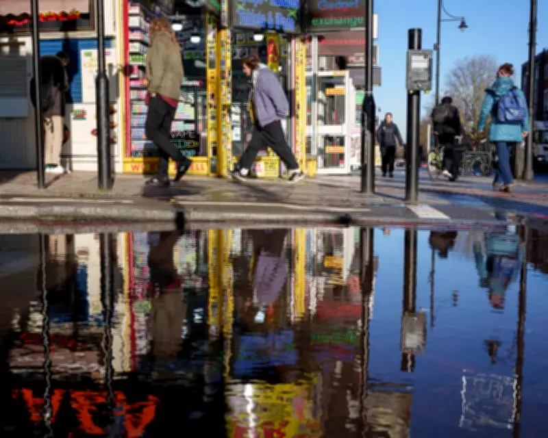 The Good Society by Kate Pickett: A Review of the Spirit Level Author's New Work