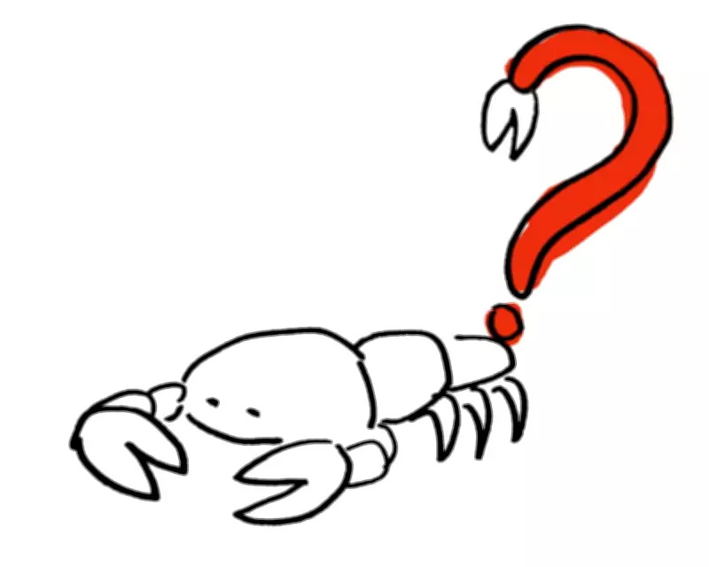 The Guardian's Thursday Quiz Tests Your General Knowledge and News Trivia