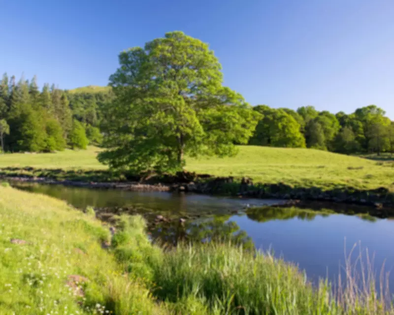 Toxic 'Forever Chemicals' Found in 25 Cumbria and Lancashire Water Sites