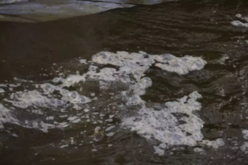 Trump's Maryland Feud Over Potomac River Sewage Spill Escalates