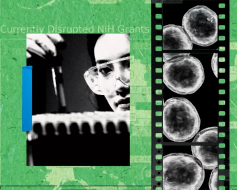 Trump's Science Cuts Spark Brain Drain, Threatening US Biomedical Leadership