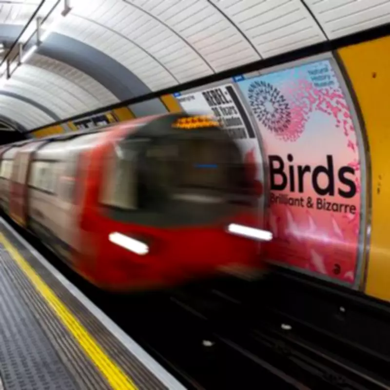 Tube Train Ranking: Rail Enthusiast Rates London Underground Carriages