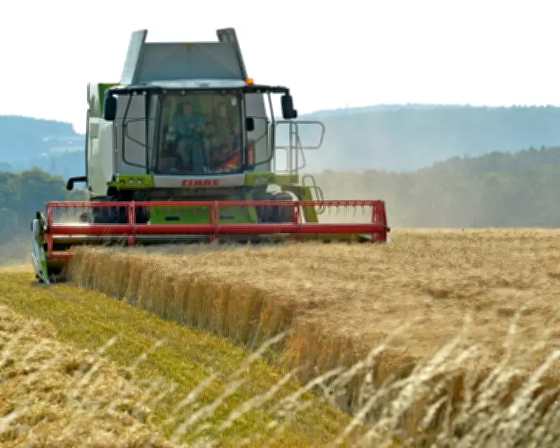 UK Farmers Face Financial Losses Under New Environmental Scheme Plans