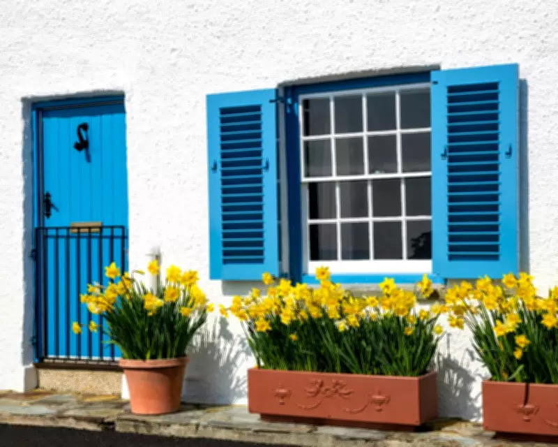 UK Housing Market Sees Strong Rebound with Record Mortgage Options for First-Time Buyers