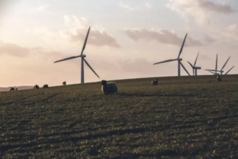 UK Renewable Energy Investment Surges, But Future Stability Requires Action