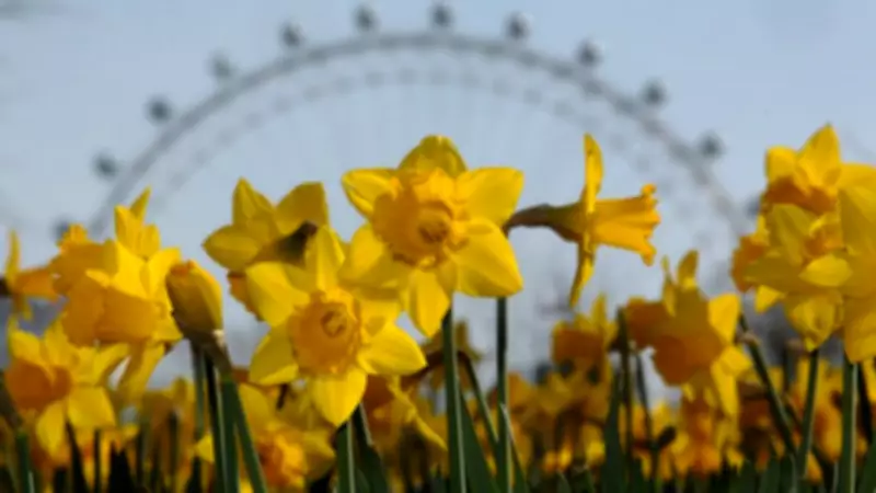 UK Temperatures to Surpass Malta and Barcelona, Forecasters Predict 19C Highs