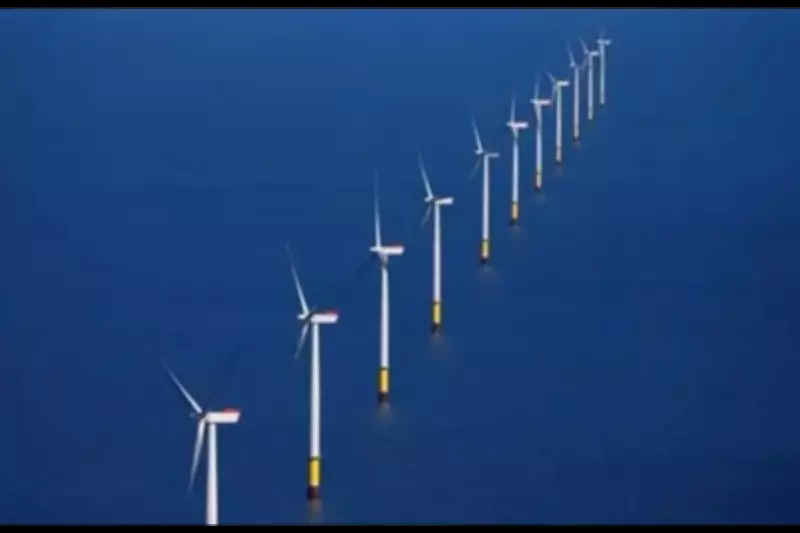 UK's Net Zero Transition Faces Grid Stability Crisis, Not Generation Shortage