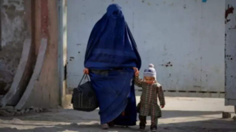 UN Criticizes Afghanistan's Penal Code: Animal Fights Punished More Than Domestic Violence