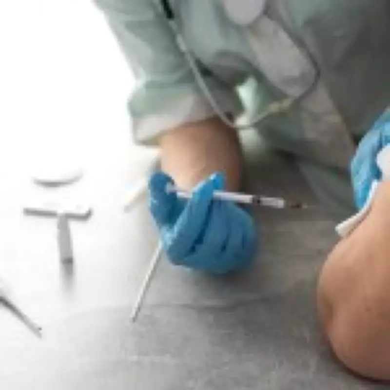 Universal Nasal Vaccine Breakthrough: One Spray for Colds, Flu, Covid, and Allergies