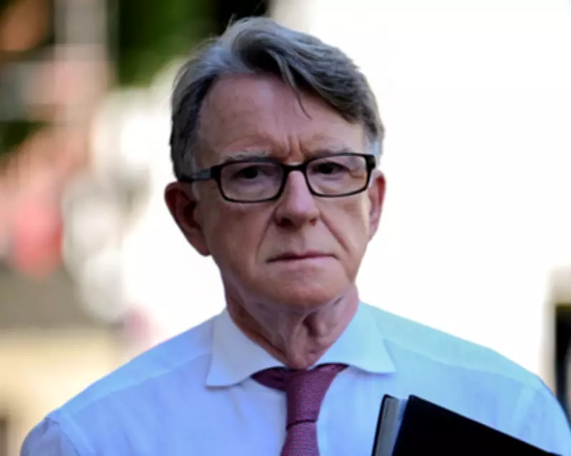 US Congress Demands Mandelson Testify in Epstein Investigation