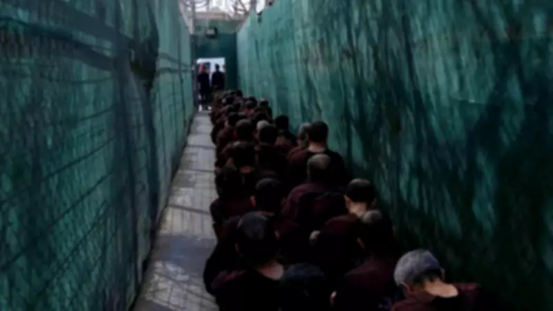 US Retaliates with Dozens of Strikes on Islamic State in Syria After Deadly Ambush