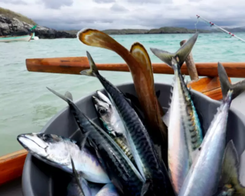 Waitrose Halts Mackerel Sales Amid Overfishing Crisis, Urges Sustainable Swaps