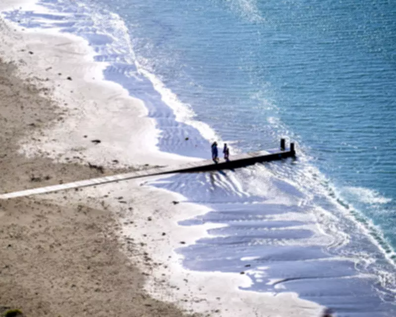 Wellington's Environmental Crisis: Sewage Disaster Closes Beaches