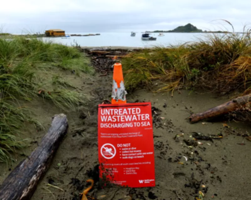 Wellington's Sewage Crisis: Millions of Liters of Raw Waste Pollute Ocean