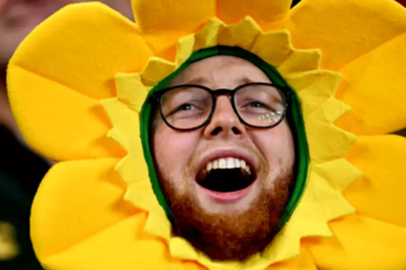 Welsh Rugby Union Faces £4m Six Nations Ticket Crisis