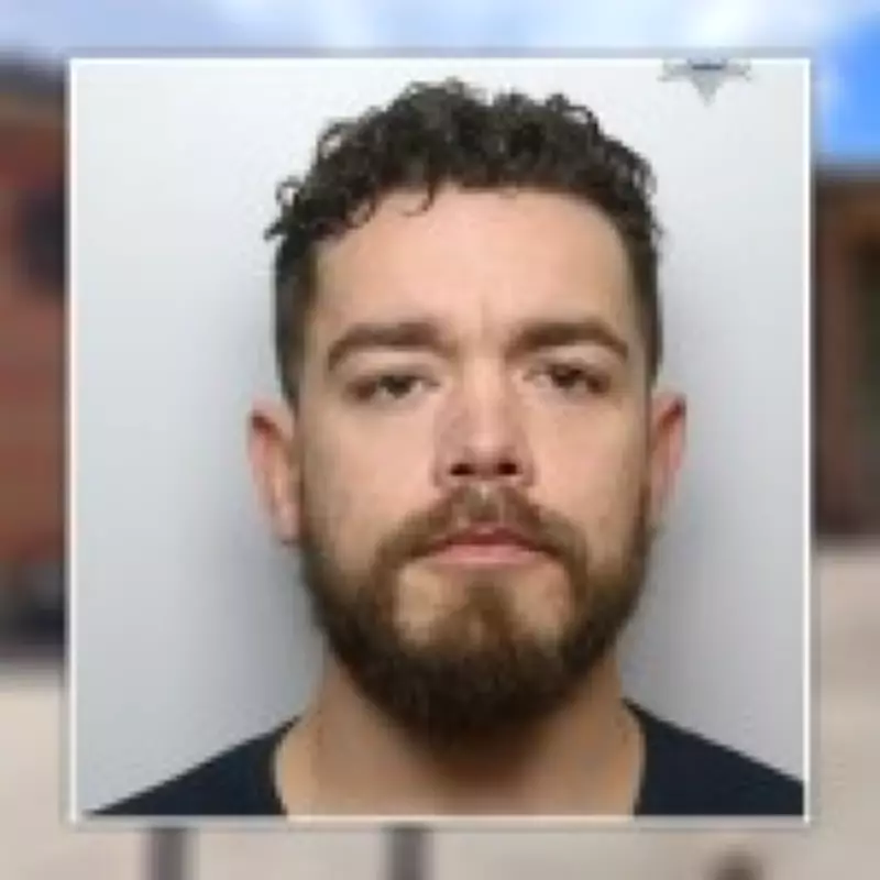 Widow Haunted by Nightmares After XL Bully Attack, Owner Jailed for 5 Years