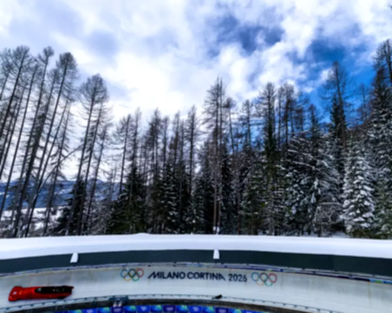 Winter Olympics' Green Claims Exposed: Forest Felled for Bobsleigh Track