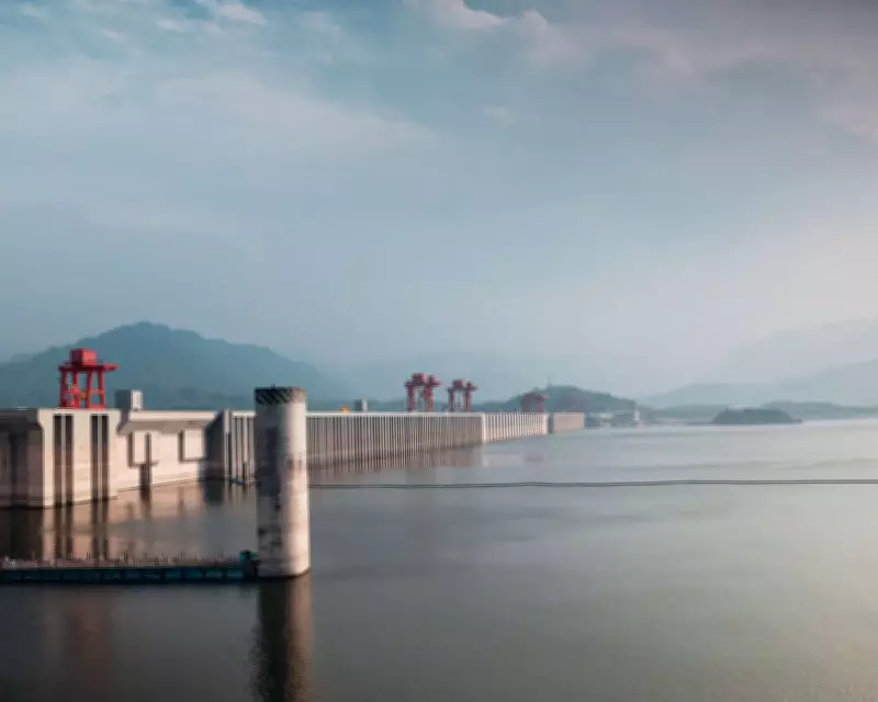 Yangtze River Ecosystem Shows Dramatic Recovery Following Fishing Ban