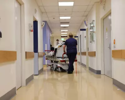 Banned Surgeon Appointed to Clinical Safety Role in Queensland Health