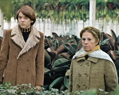 Bud Cort, Iconic Star of 'Harold and Maude', Passes Away at 75