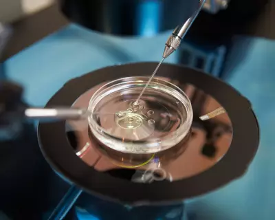 Fertility Patients Win Landmark High Court Ruling to Preserve Embryos After Consent Lapses