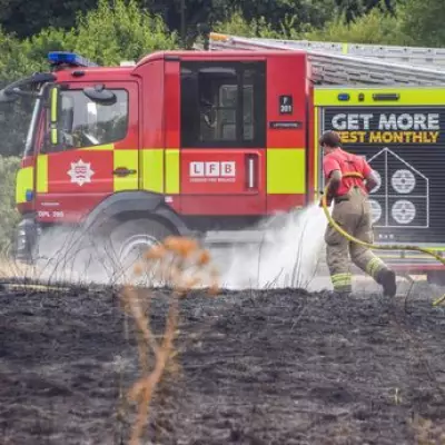 London Fire Commissioner Warns of Triple Threat: Wildfires, E-Bikes and High-Rises
