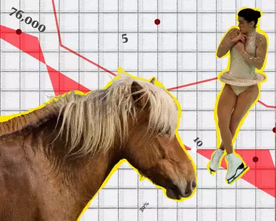 Political Donations, Figure Skating, and the Year of the Horse