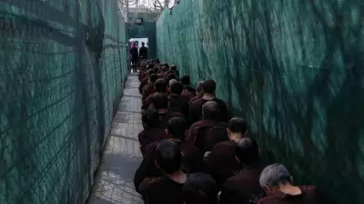 US Retaliates with Dozens of Strikes on Islamic State in Syria After Deadly Ambush