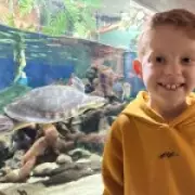 A Mother's Heartbreak: How Slow Speech Revealed a Fatal Brain Tumor in Her 8-Year-Old Son