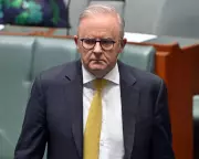 Albanese Demands Transparency Over Aid Worker's Death in Gaza