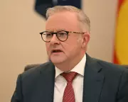 Albanese Slams One Nation and Pocock in YouTube Interview Amid Controversy