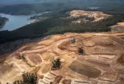 Alcoa Fined $55M for Illegal Forest Clearing, Granted Exemption Amid US Minerals Deal