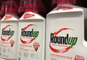 Bayer's $7.25bn Roundup Settlement Challenged by Cancer Sufferers' Lawyers