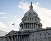 Bernie Sanders Urges Grassroots Movement to Reverse America's Decline