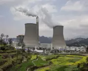 Businesses Urged to Lead in Halting Biodiversity Loss, No Excuse for Inaction