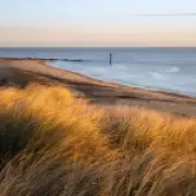 Caister-on-Sea's 'Appalling' Dog Waste Crisis Sparks Outrage Among Residents